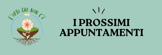 APRILE - 1 MAGGIO